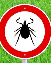 TopPharm Apotheke Aarberg AG Bild 4