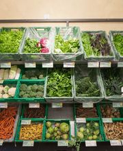 Gartenbauschule Hünibach Bild 12