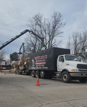 Whitledge Tree Service LLC image 11