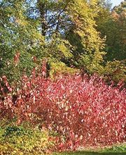 Kommunales Bestattungshaus der Stadt Chemnitz Bild 3