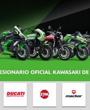 Puro Racing imagen 1