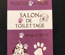 PRINCESS CANICHE image 3