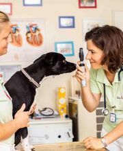 Tierarztpraxis Rühling