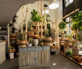 L'ATELIER NATURE ... image 4