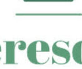 Pflegeresolution freiberufliche diplomierte Pflegefachfrau Bild 2