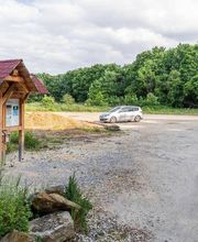 FriedWald Schurwald Bild 9