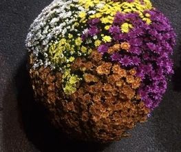 Vive Le Jardin image 16