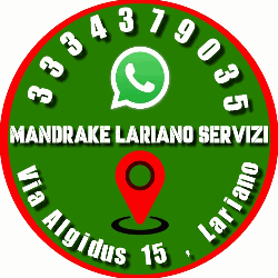 Mandrake Multiservizi logo