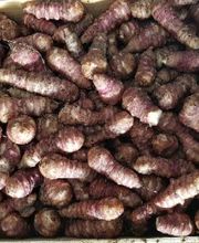 Fraiseraie du Lac image 2