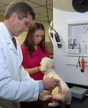 Tellico Plains Clinic image 8