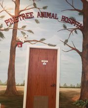Pinetree Animal Hospital image 10