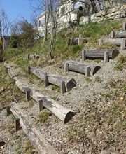 Bolz Gartenbau GmbH Bild 8