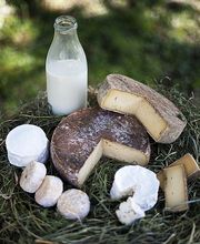 Office De Tourisme Intercommunal Du Pays De Bray image 13