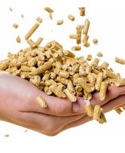 Walker Haustechnik AG Bild 2