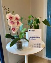 Audika Centri Acustici - Scandicci immagine 7