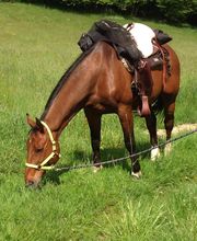 Black Sky Ranch Bild 2