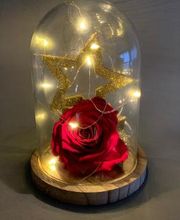 Carrément Fleurs - Fleuriste Eysines Bordeaux 33 - Livraison de fleurs à domicile image 5