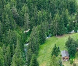 Camping Les Lanchettes image 1