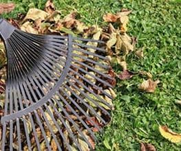 DZ Hauswartung und Gartenunterhalt Bild 6
