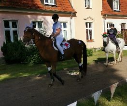 Reiterhof Daugzin C. Edel & E. Berkhahn GbR Bild 5