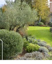 Jardins Intemporels image 18