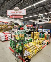 Product Shot: Chicken/Animal Feed