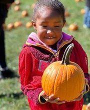 Field trip to The Children's Farm at the Center in Palos Park