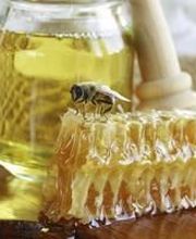 Abeille De Ré image 18