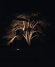 Hôtel Château De Sully image 5