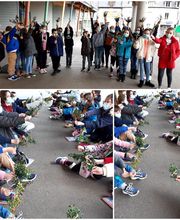 Ecole primaire privée Notre-Dame de La Providence image 17