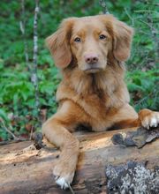 Kleintierpraxis Eberli Bild 1