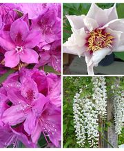 Prévet Paysages image 12