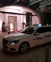 Carreisen + Taxi Vogel Bild 7