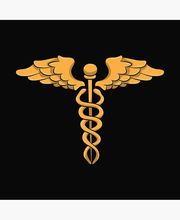 Sarrut Nathalie image 5