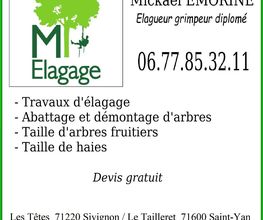 Mickaël Emorine image 7