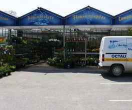 Octau Fleurs image 2
