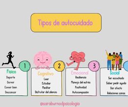 231372764-1-c9CD8OSoro1775896360749.jpeg