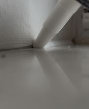 IMG_7519.png
