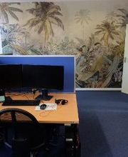 PC-Arbeitsplatz mit zwei Bildschirmen, Tastatur, Maus und Headset. Im Hintergrund eine Wand mit Palmentapete.