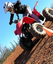 Vent De Liberté image 5