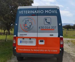 230084394-2-vHUdC6gwhQ1698080110104.jpeg