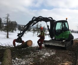 Raduner Gartenbau AG Bild 1