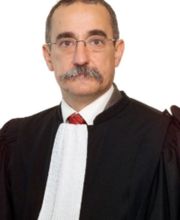 Goehrs Rémi image 1