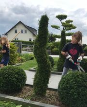 CREATIVE GARDEN Bild 1