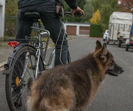 Fahrrad fahren mit dem. Was ist dabei zu berücksichtigen.