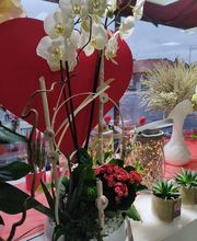 Fleur D'O image 6