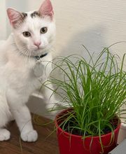 Stiftung Alters- und Pflegeheime Binningen Bild 9