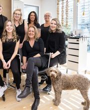 Coiffeur Punkt AG Bild 3