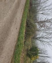 Lau Jardi Services image 2