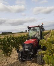 Chevalerias Saint-Romain image 5